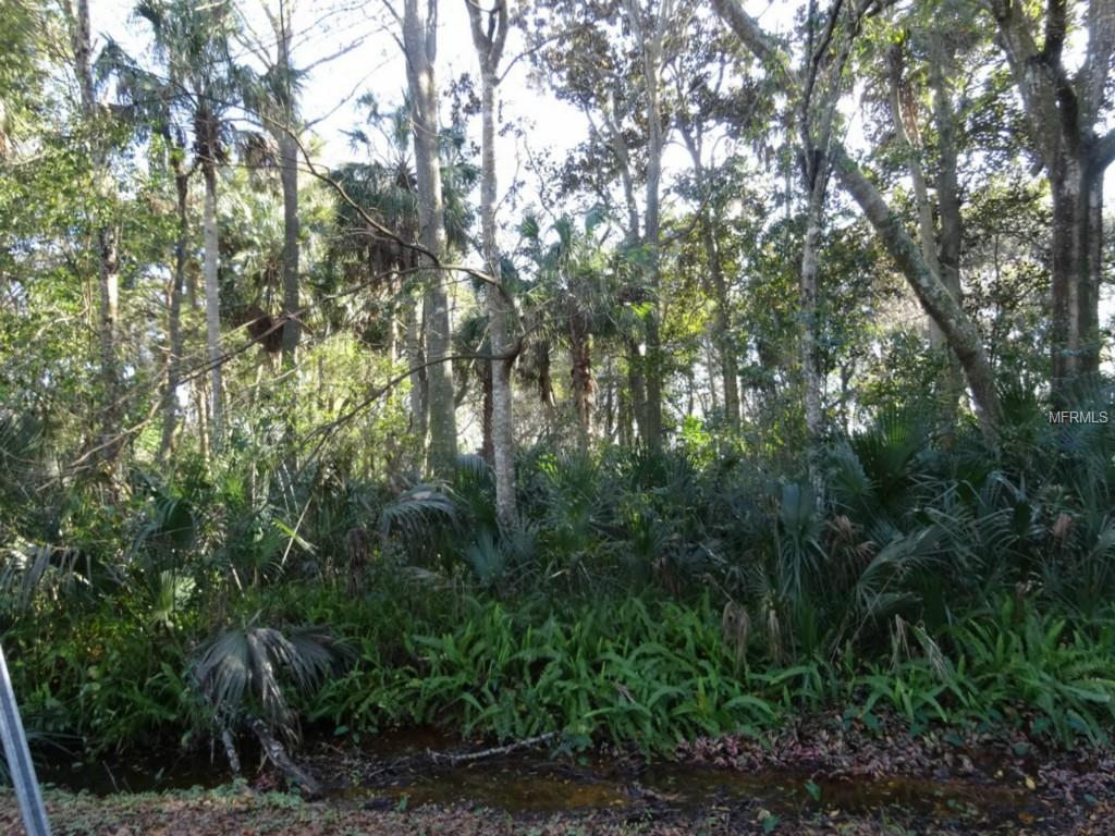 440  KING CHARLES CIR ,DELAND,32724