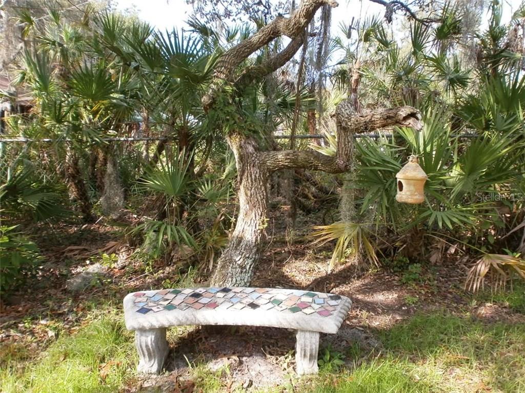 10288  TOOKE LAKE BLVD ,WEEKI WACHEE,34613