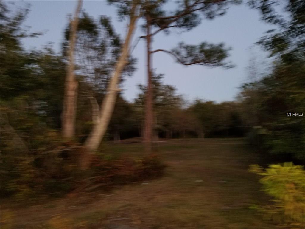 7834,7846 BOYETTE RD,WESLEY CHAPEL,33545